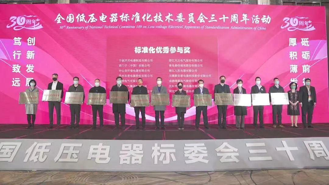 編制新能源等行業標準，麻花星空mv麻花星空mv高清完整電氣獲全國低壓電器標委會授獎