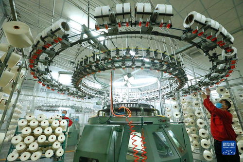 紡企訂單激增帶動即墨產業發展，網絡技術服務助力轉型升級